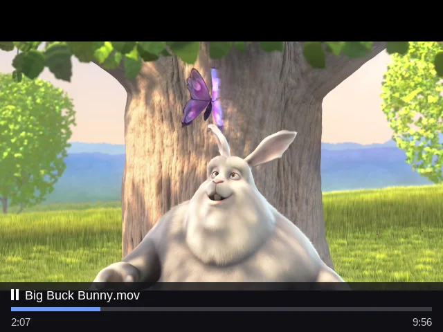 Big Buck Bunny in the media player: hardware decoding